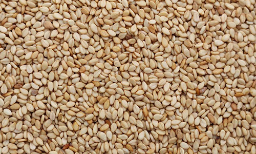 roasted-sesame-seeds-1482465