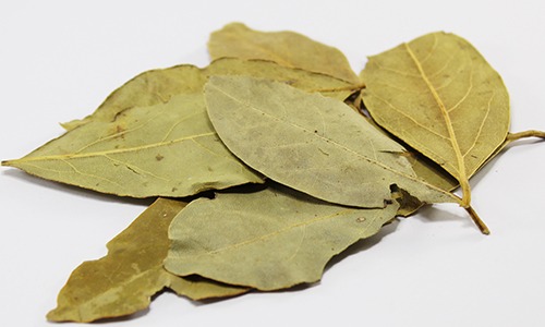 BAY LEAF