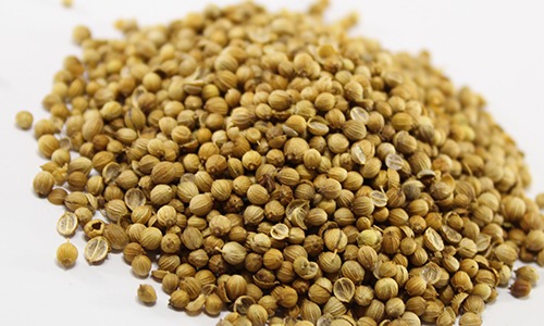 CORIANDER SEEDS