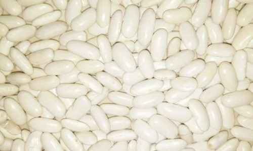 White Kidney Beans