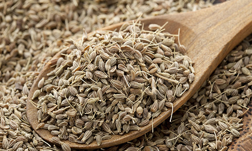 Seeds